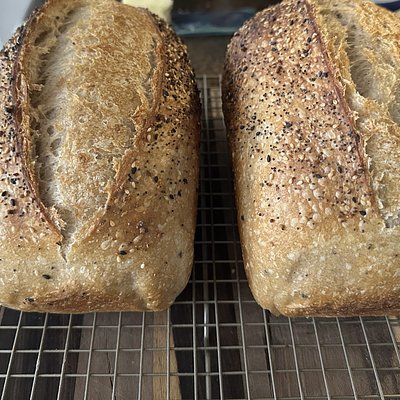 Everything Bagel Sourdough Loaf
