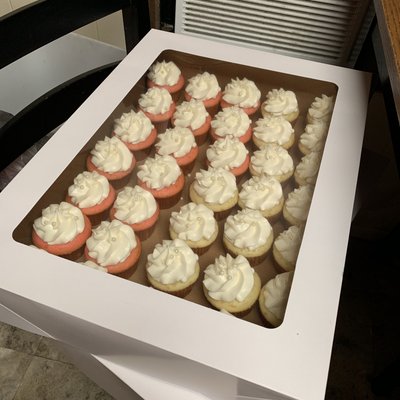 Cupcakes Basic Iced White 1 Dozen