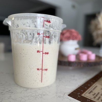 Miss Daisy Starter – 100g Live Active Culture 🌼