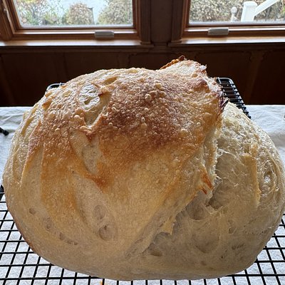 Large Sourdough Artisan Loaf