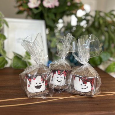S’mores Treat