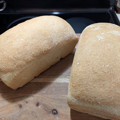 Yeast Loaf - White 
