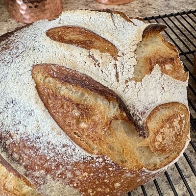 Classic Sourdough Boule