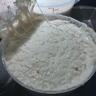 Sourdough Starter
