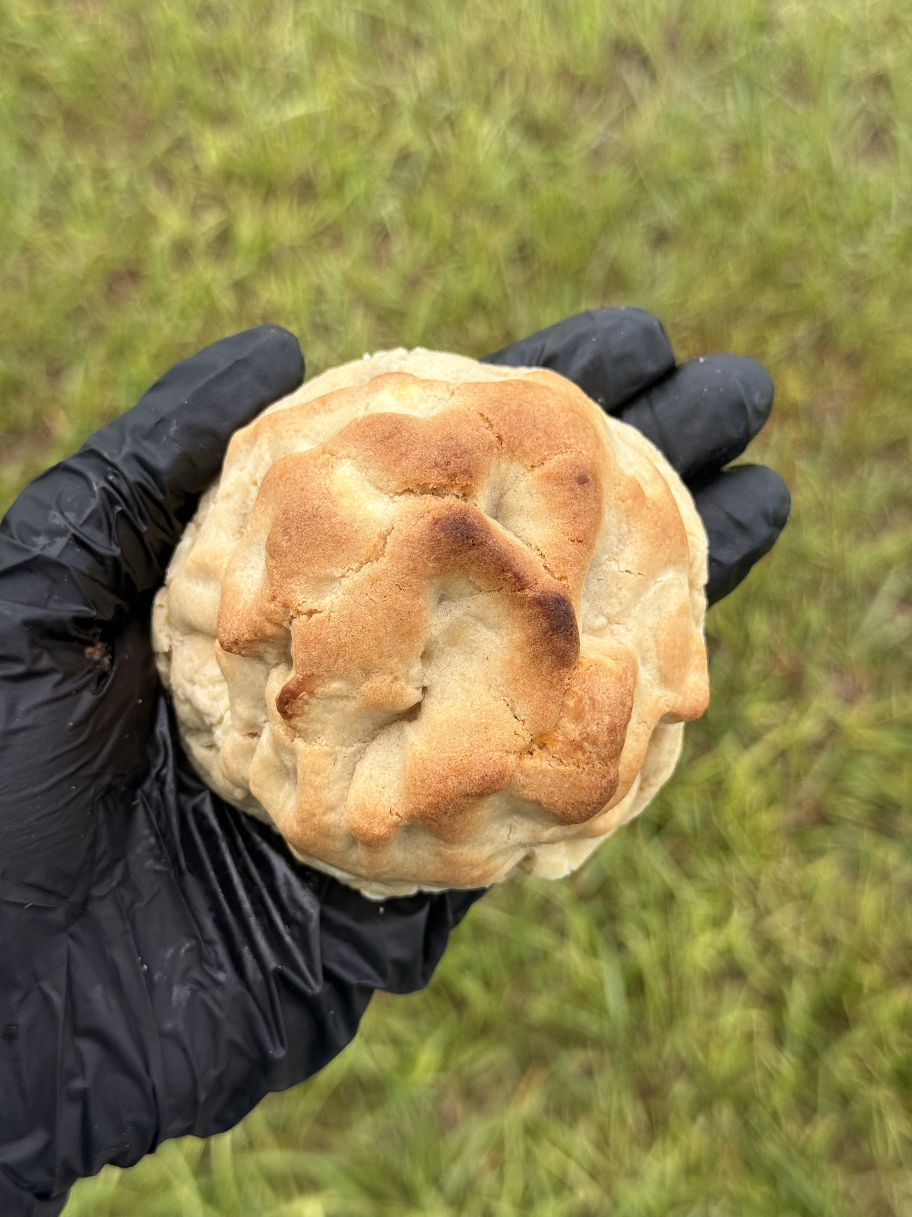Passion Fruit Cookie 