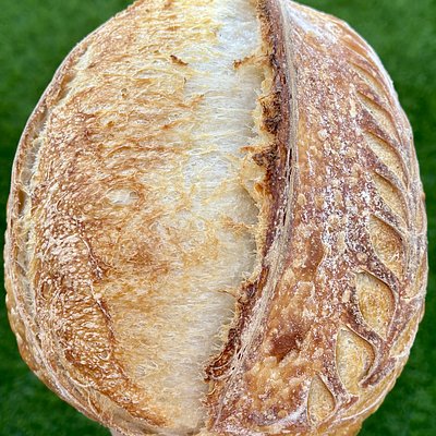 Organic Sourdough Artisan Loaf 