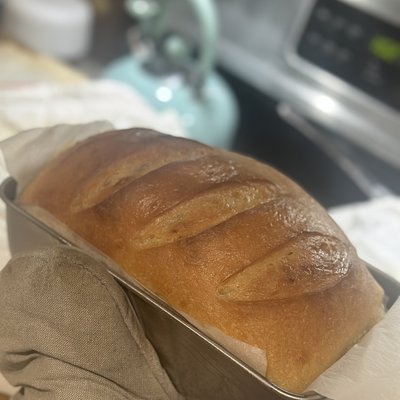 Sourdough Wonder Sandwich Bread 