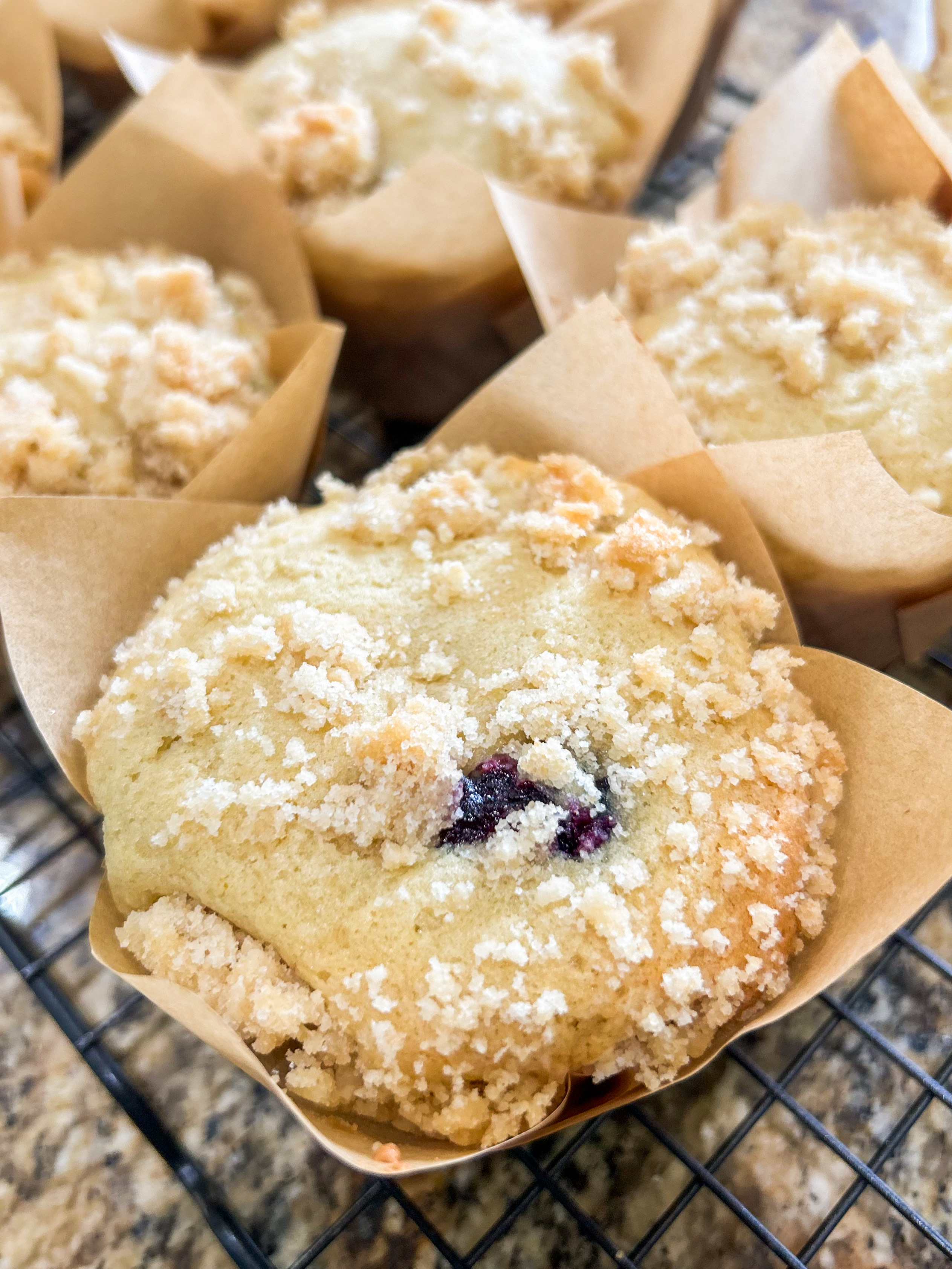 Lemon Blueberry Muffins
