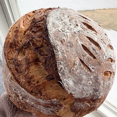 Sharp White Cheddar & Onion