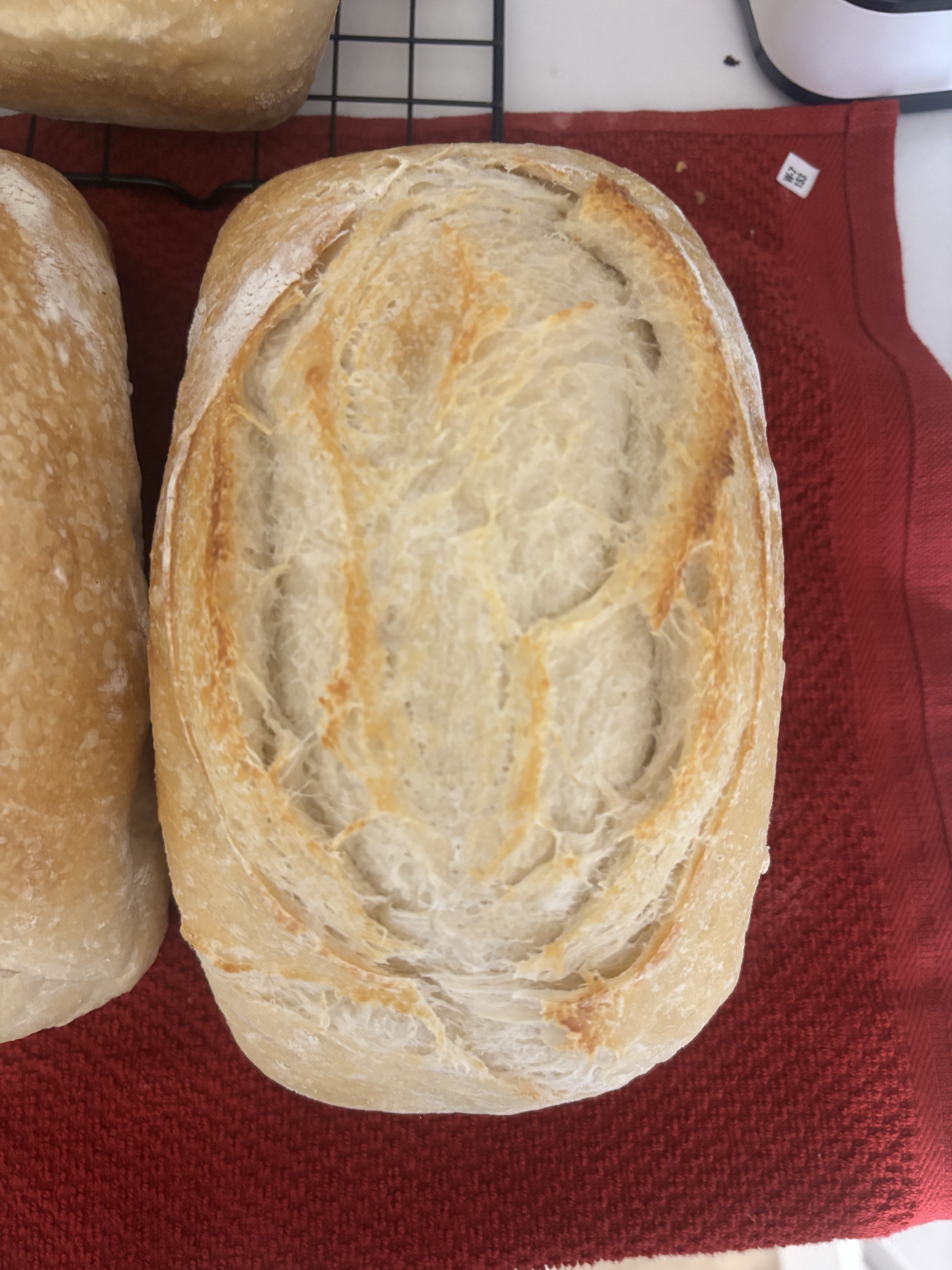 Sourdough Sandwich Bread 