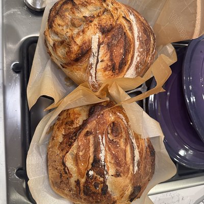 Roasted Garlic Sourdough 