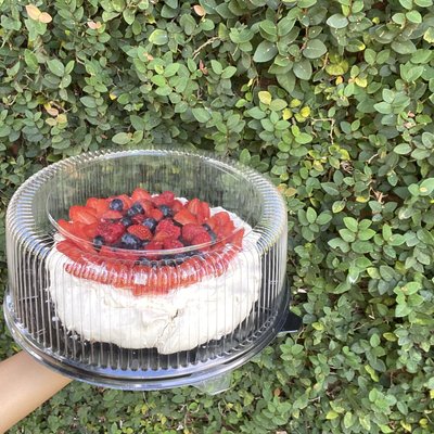 Medium Pavlova “14