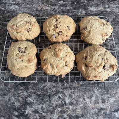 1 Dozen Chocolate Chip Cookies 