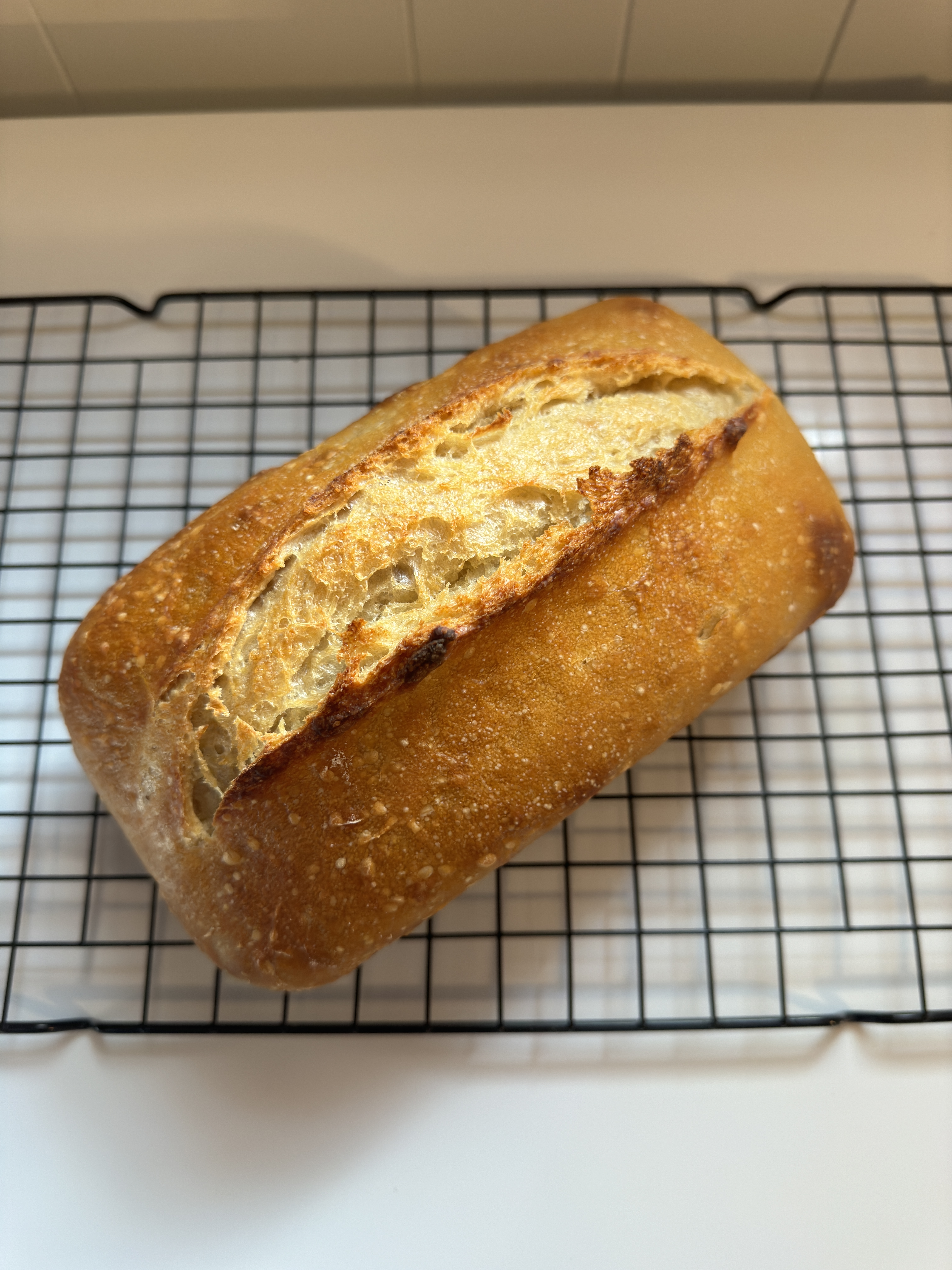Original Half Loaf
