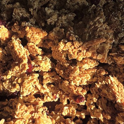 Sourdough Cranberry Almond Granola