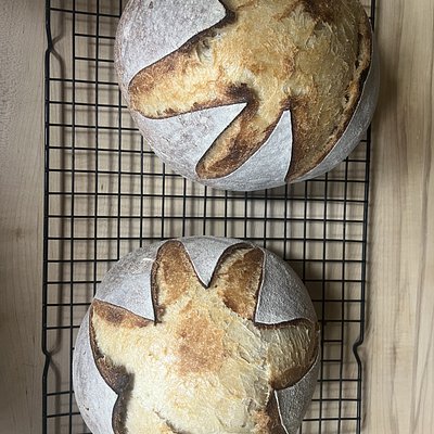 Hot Honey Sourdough - MEDIUM