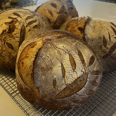 Sourdough Artisan Loaf