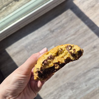 Stuffed Turtle Cookie