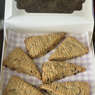 Espresso Dark Chocolate Chunk Scones(6)