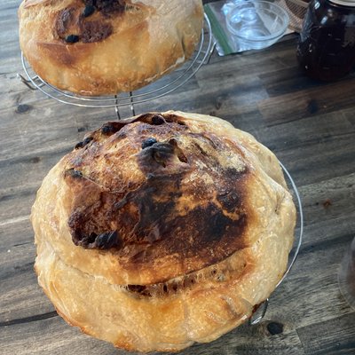 XL Sourdough Cinnamon- Brown Sugar With Raisins Boule Or Extra Large Loaf