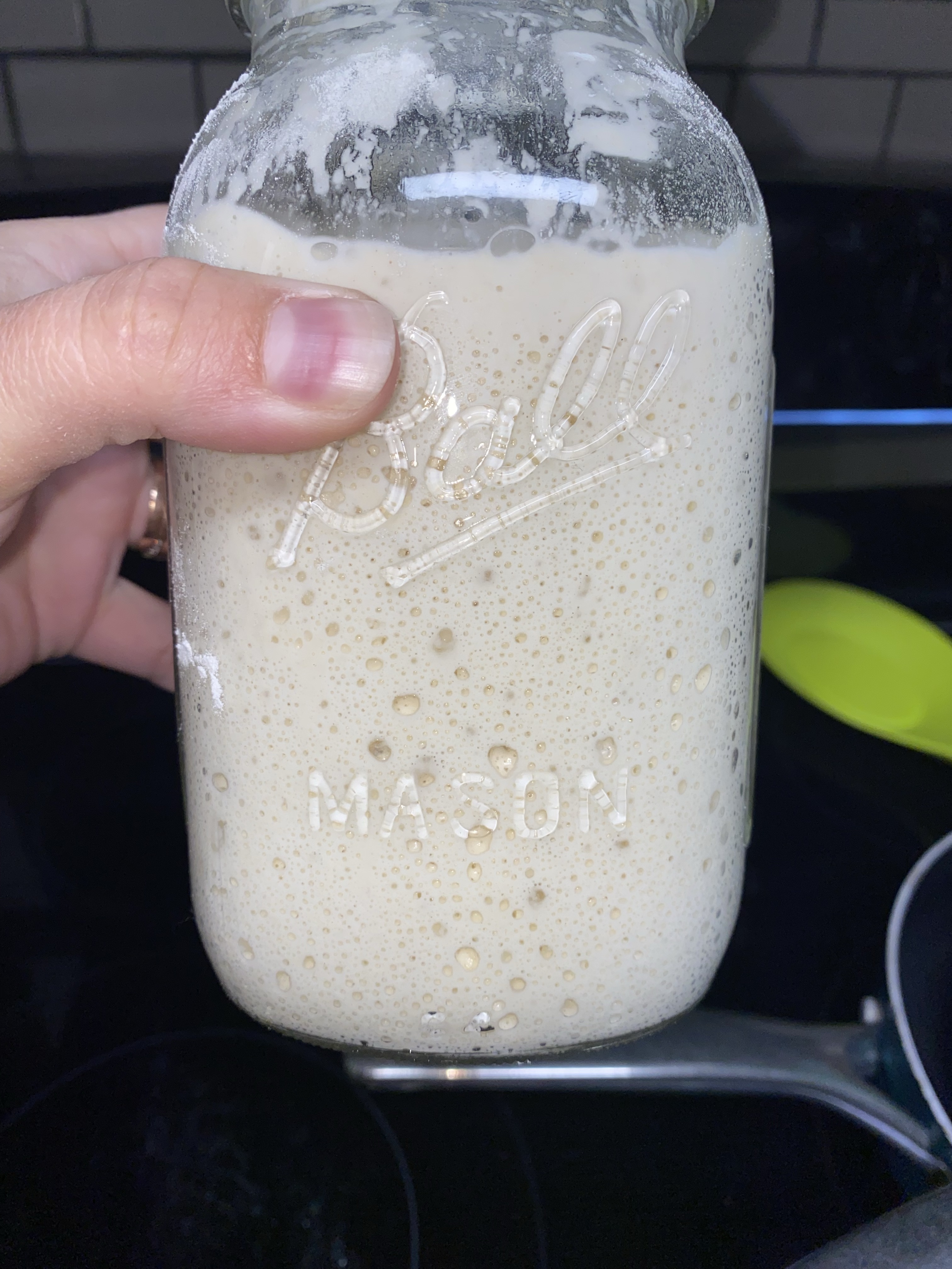Sourdough Starter