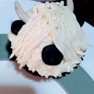 Specially Cupcakes