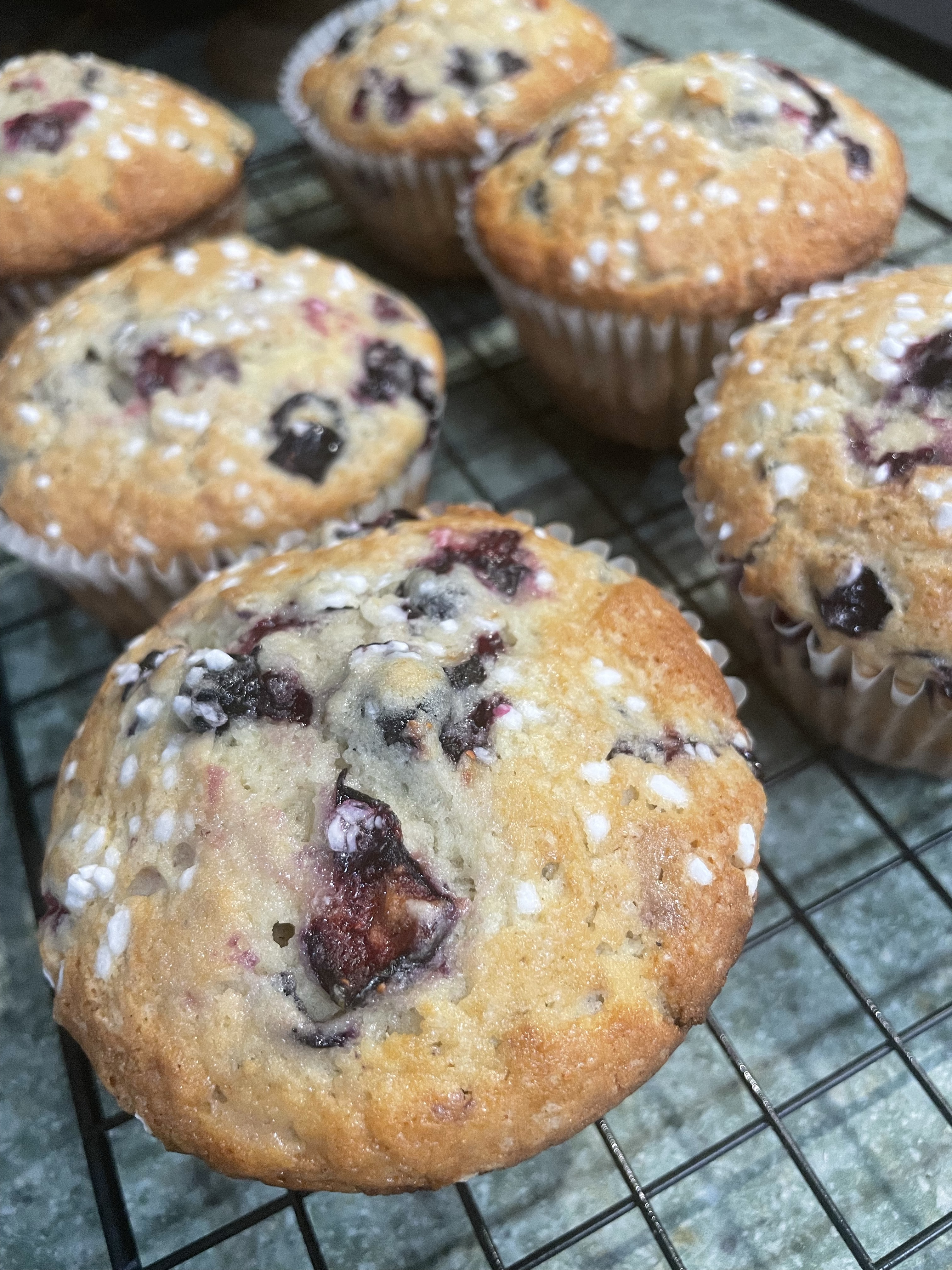 Big Blueberry Muffins (4 Large) 
