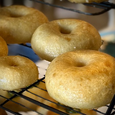 Plain Bagel