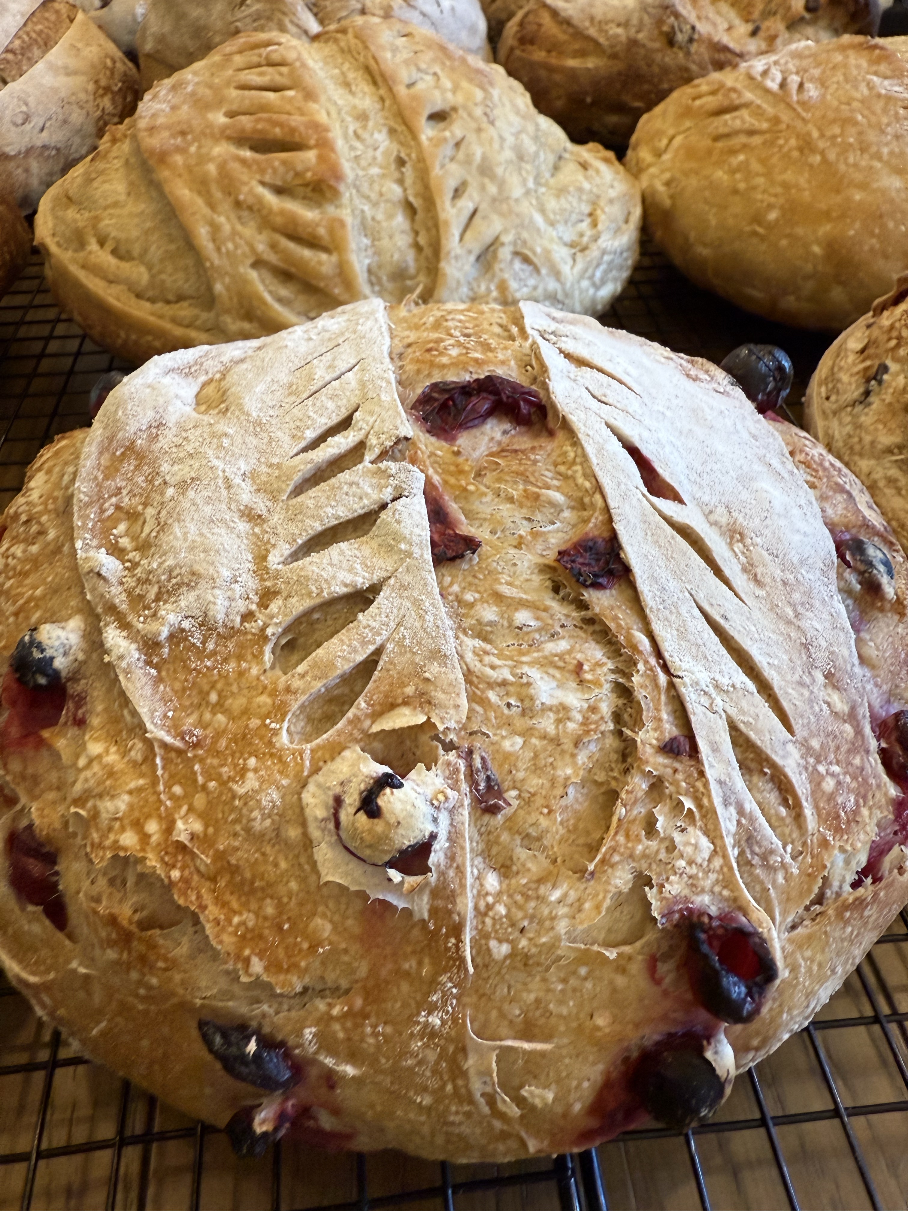 Artisan Cranberry Orange Sourdough Bread