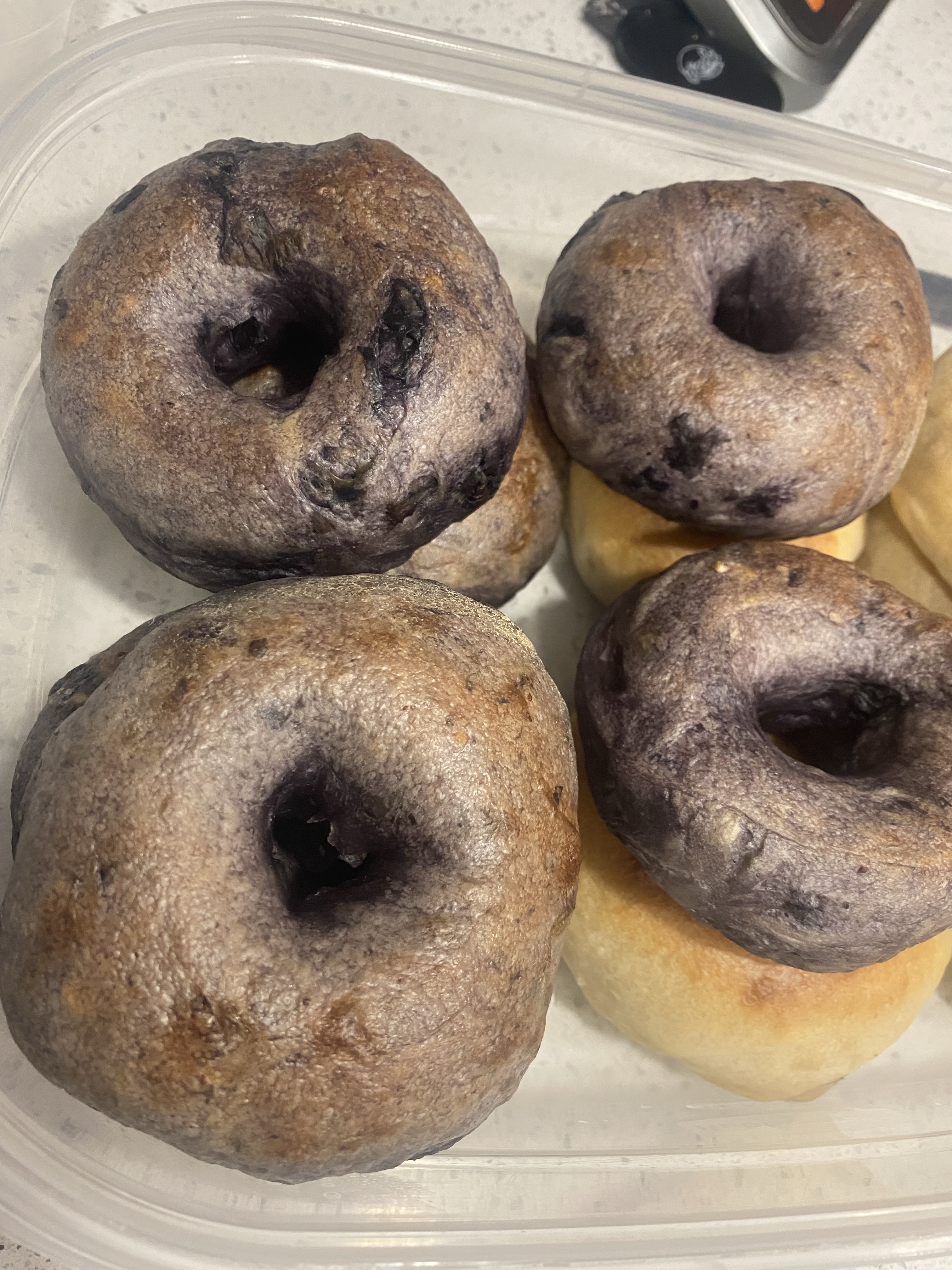 Blueberry Sourdough Bagels - 6 