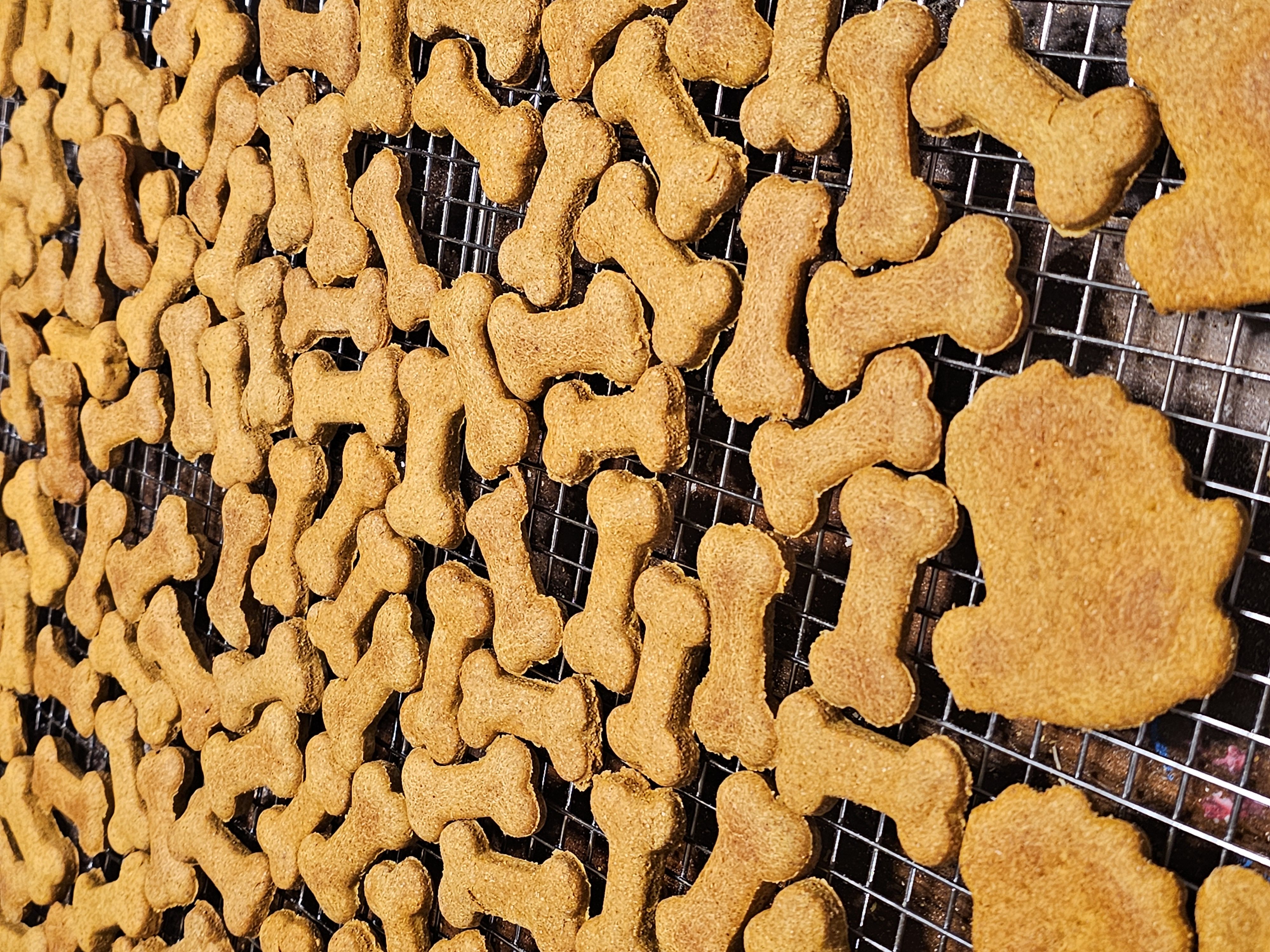 Peanut Butter Dog Treats