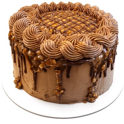 Turtle Cake