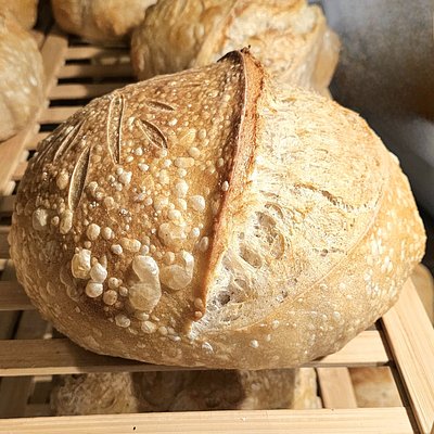 Garlic Sourdough Loaf 