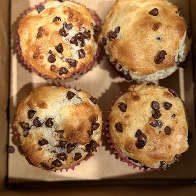 Sourdough Chocolate Chip Muffins 