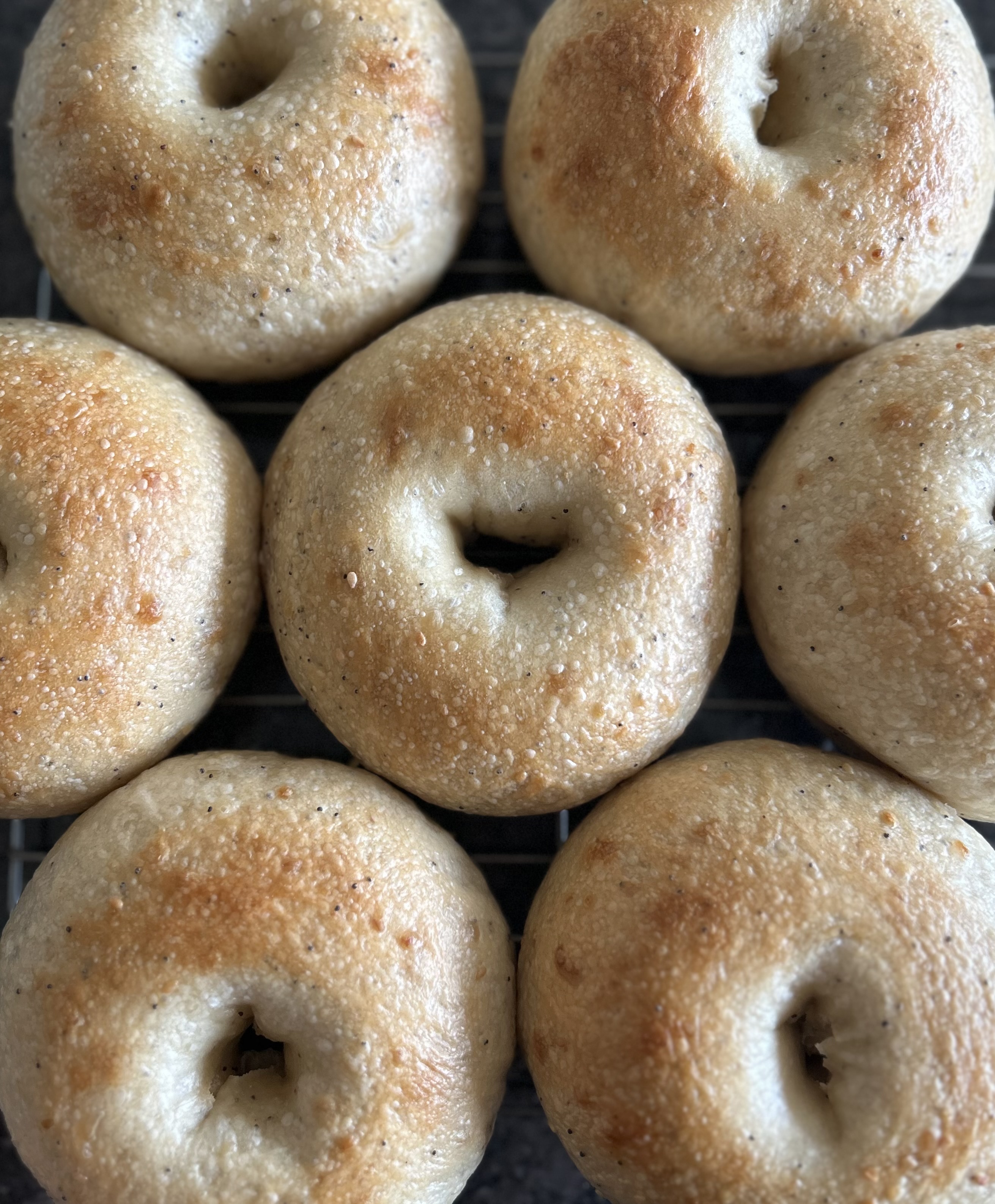 Everything Seasoning Sourdough Bagels