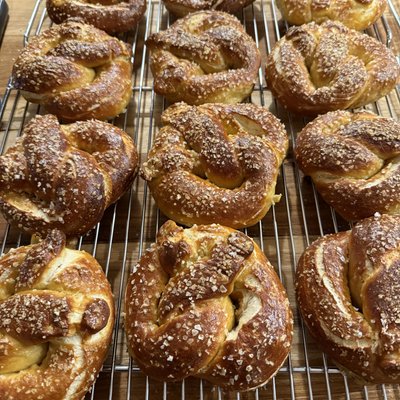 Sourdough Pretzels - 8