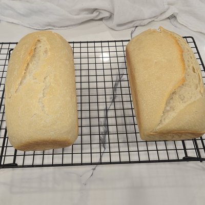 Sourdough Plain Loaf