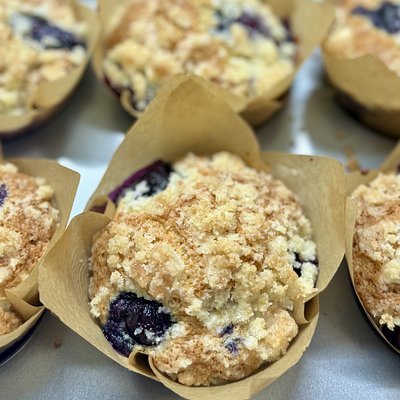 Sourdough Blueberry Muffins