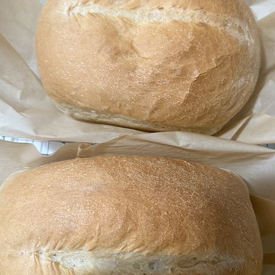 Italian Bread 