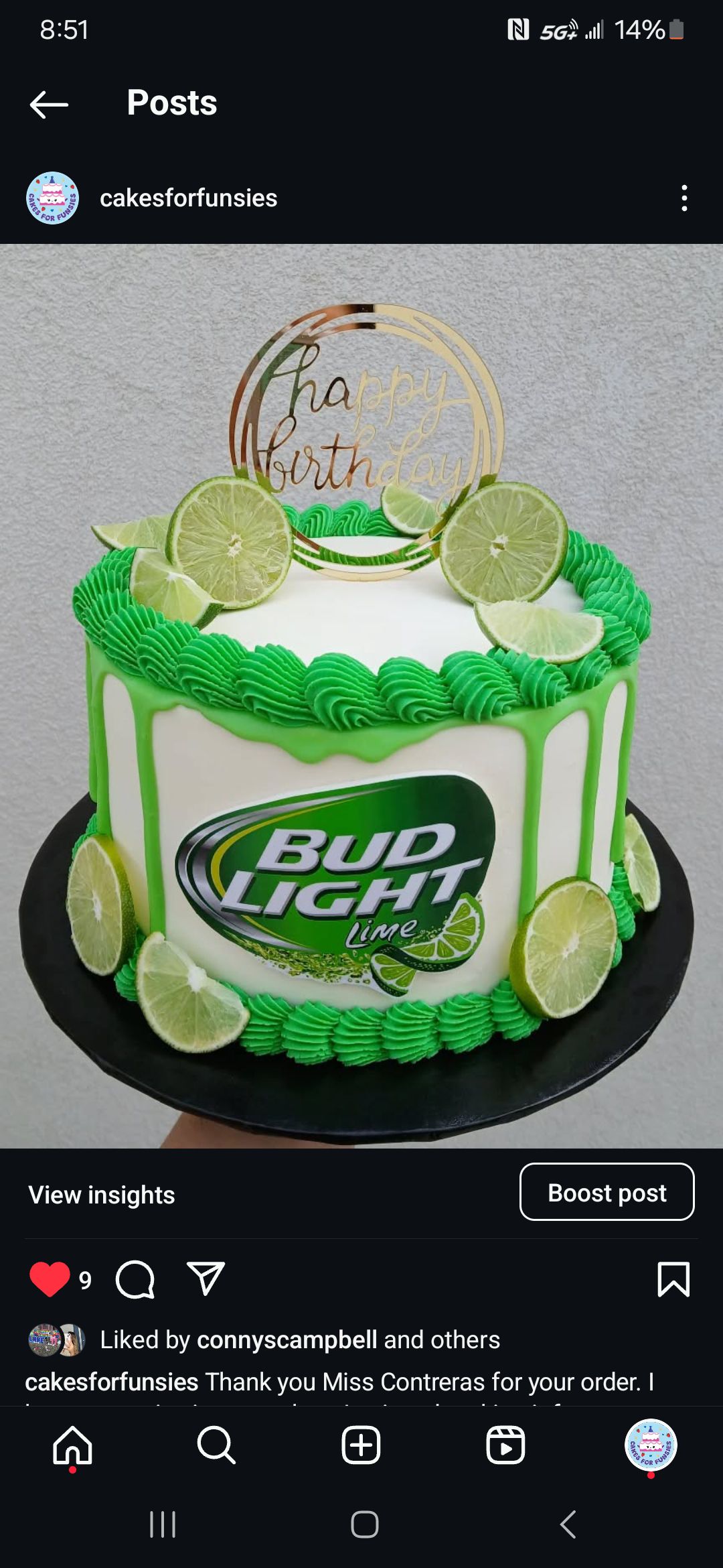 9 Inch 3 Layer Cake