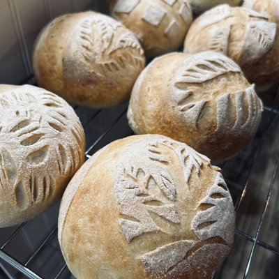 Sourdough Artisan Sandwich Rolls 
