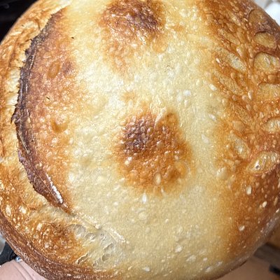 Original Sourdough 