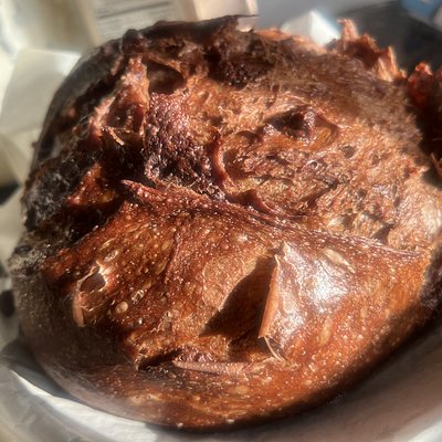 Double Chocolate Chip Sourdough