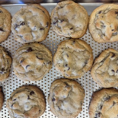 Sourdough Chocolate Chip Cookies 