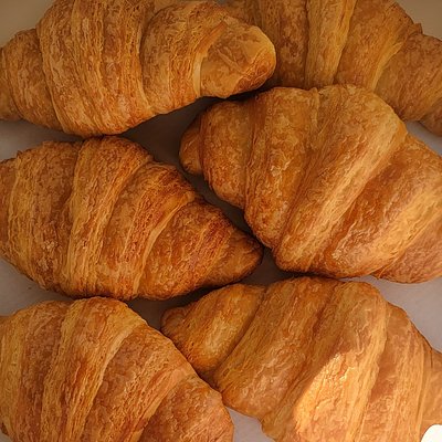Dozen Plain Croissants 