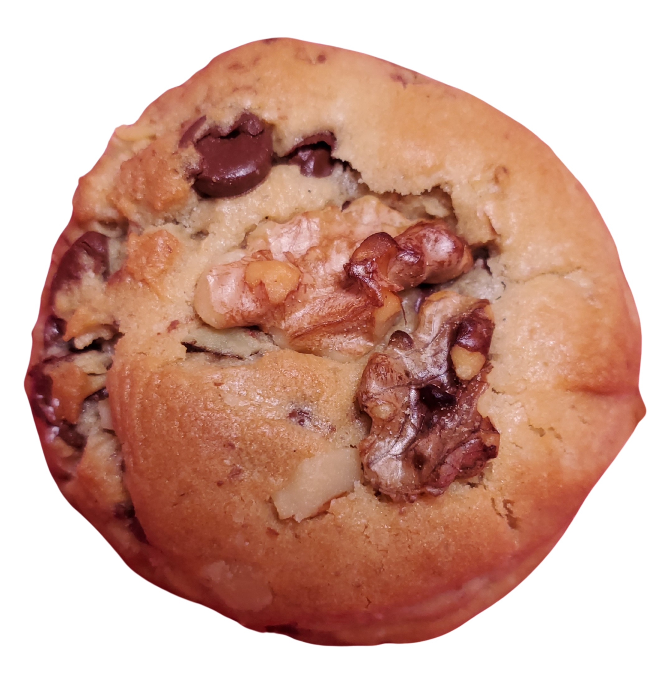 Chocolate Chip Walnut