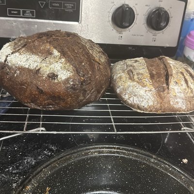 Double Chocolate Chip Loaf