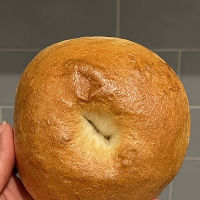 Plain Bagel