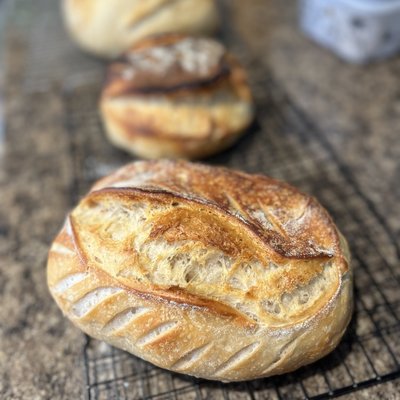Plain artisan 
