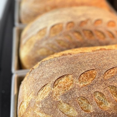 Soft White Sourdough Loaf - FRIDAYS